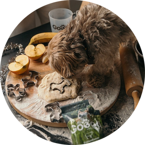 Download GRATIS 10 bakrecepten voor (h)eerlijke hondensnacks!