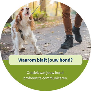 Waarom blaft jouw hond?