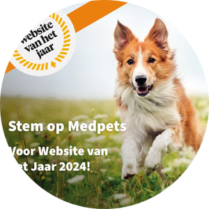 Stemmen voor 'website van het jaar 2024'