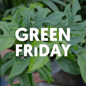 Green Friday tips 🌱