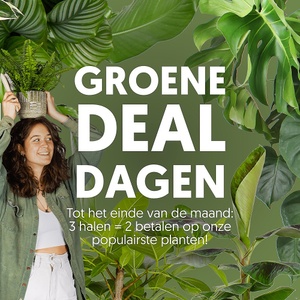 Plantsome's Groene Deal Dagen