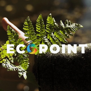 Eco-Point x Every Day