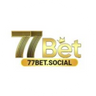 77bet